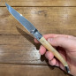 Coltelli da tavola, finitura lucida con manico in corno chiaro, set da 6
