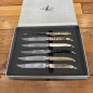Set di 6 coltelli da tavola ANIMALIA con finitura lucida