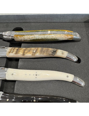 Elegante set di coltelli da tavola con lama liscia per carne, tagliata, fiorentina, costata