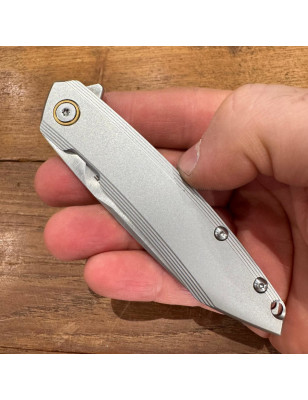 ruike p831ss