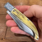 Coltello chiudibile Pugliese Michele Fraraccio 21 testa inox