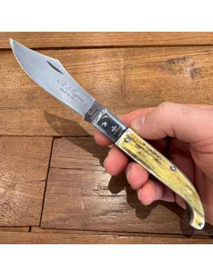 Coltello chiudibile Pugliese Michele Fraraccio 21 testa inox