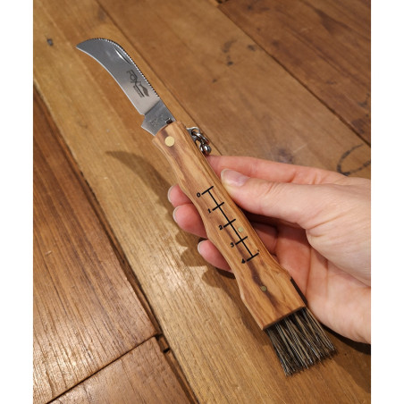 Coltello chiudibile per funghi Fox 405 OL legno di Olivo