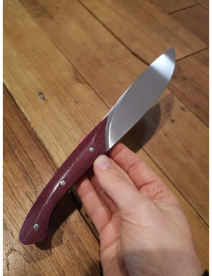Set 4 coltelli da fiorentina Viper manico legno