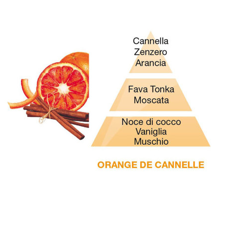 Ricarica lampada catalitica Berger Orange de Cannelle 1 litro