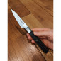 Coltello Kudamono Miyabi 4000FC cm 9