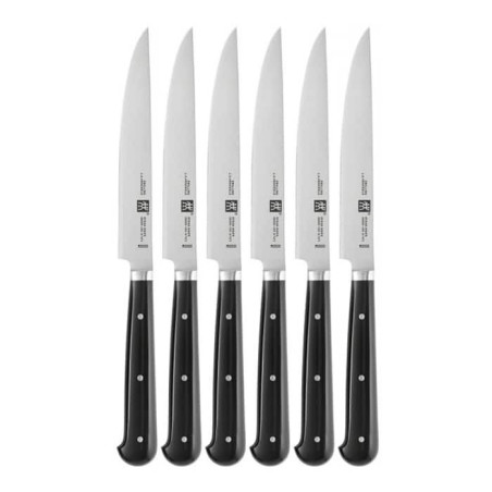 Set 6 coltelli bistecca Zwilling 39029-001