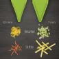 Mandolina affetta verdure Borner V5 PowerLine verde Mandolina affetta verdure Borner V5 PowerLine verde