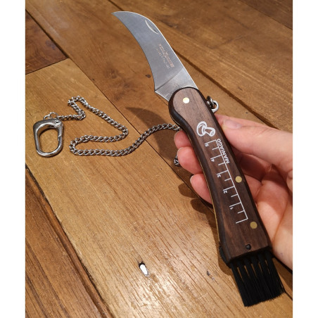 Coltello chiudibile per funghi Fox 403