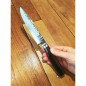 Set 2 coltelli da bistecca damasco Kai TDMS-400
