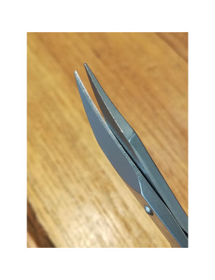 Forbici unghie Spitz acciaio inox | Alpen